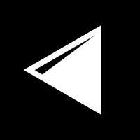 Digital Natives Group logo - Similar company to Queens Economic Development Corporation