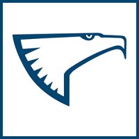 Eagle and Wise Service SpA logo - Similar company to Eagle Wise Chartered Accountants Company