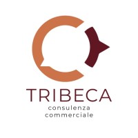 Tribeca Srl logo - Similar company to Gex.It