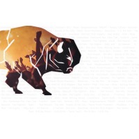 Buffalo Power logo - Similar company to Augusta Event Support Ltd