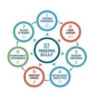 GAP - Gestão para Alta Performance logo - Similar company to Gap Group