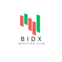 BIDX logo - Similar company to Docsrural