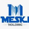 MESKI INVEST logo - Similar company to Awargan