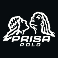 PRISA POLO logo - Similar company to Organize Today Llc