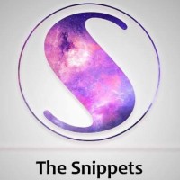 The Snippets logo - Similar company to Adhash Business Consultancy (Pvt.) Ltd.