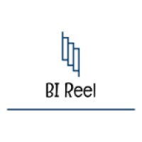 BI Reel Ltd. logo - Similar company to Data Redeemers