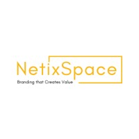 NetixSpace logo - Similar company to Yali Network Oyo State