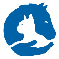 International Veterinary Outreach logo - Similar company to Meditutor