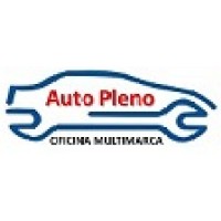 Auto Pleno logo - Similar company to Sindermann Consulting