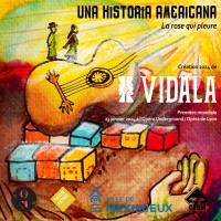 VIDALA logo - Similar company to So Loops