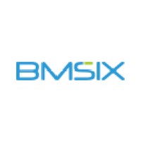 BMSIX logo - Similar company to Qdois - Data Intelligence
