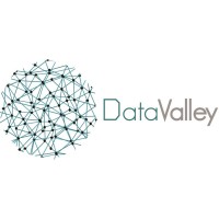 Data Valley for Trading Est logo - Similar company to Elite Data Management