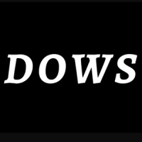 Diversity on Wall Street logo - Similar company to Finance For All (Ffa)