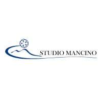 Studio Mancino logo - Similar company to Navecotech