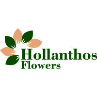 Hollanthos Flowers logo - Similar company to Kontikiflor Bv