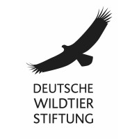 Deutsche Wildtier Stiftung logo - Similar company to Abenteuer Regenwald E.V.