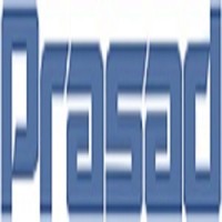 Prasad Electrical Engineering Pvt. Ltd. logo - Similar company to Changkai Precision Technology Co.,Ltd