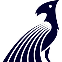 TranscenDental CFO Services logo - Similar company to Dental Unscripted