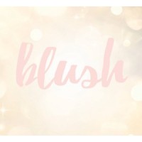 Blush Co. logo - Similar company to Beautyfindr