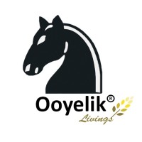 Ooyelik Livings logo - Similar company to Agn Enterprise