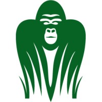 Jungle Software logo - Similar company to California Institute Of Career Development