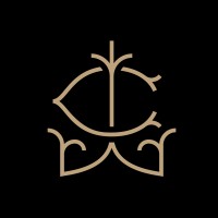 The Life Curators logo - Similar company to Broad Organisation Ltd.