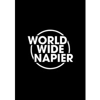 WorldWideNapier logo - Similar company to Run Your Mind