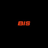 Black In Sport logo - Similar company to Nestwork