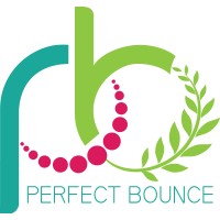 Perfect Bounce logo - Similar company to Meddata Business Solutions