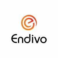 ENDIVO logo - Similar company to Ateex Asesoria