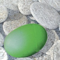 Free Spirit Training & Development Ltd