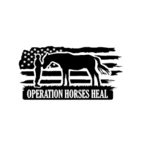 Operation Horses Heal logo - Similar company to Shapiro Consultants & System Services
