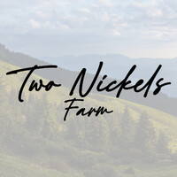 Two Nickels, Llc