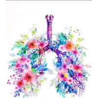 SLEEP & PULMONARY, EASY SLEEP AND BREATH 💤 24/7 logo - Similar company to Medicalandresearchpublications