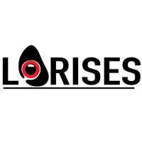 Lorises logo - Similar company to Plug&Play Solutions