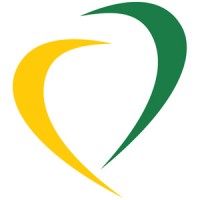 Instituto Brasil Solidário (IBS) logo - Similar company to Faculdade Focus