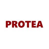 PROTEA | success navigation for nonprofits logo - Similar company to Office Of Women'S Initiatives
