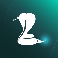 Cobra Networks - Seguridad TI logo - Similar company to Cobra Networks S De Rl De Cv