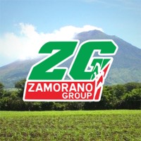 Zamorano Group S.A de C.V logo - Similar company to Luigemi