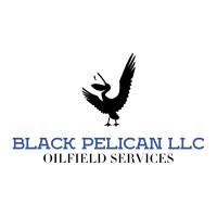 Black Pelican LLC logo - Similar company to Il Bagno Group
