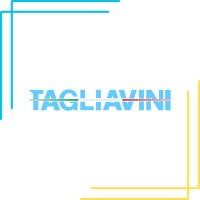 Tagliavini srl logo - Similar company to Mantovani S.P.A.