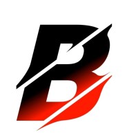 Bizruler logo - Similar company to Upnext, Inc.