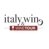 ITALY AND WINE logo - Similar company to Il Gusto