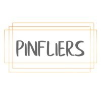Pinfliers logo - Similar company to Mozaicq