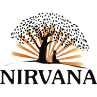 Nirvana Creative Telesoftware Solutions Pvt. Ltd. logo - Similar company to Dexxtra