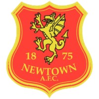 Newtown AFC logo - Similar company to Eta Delta