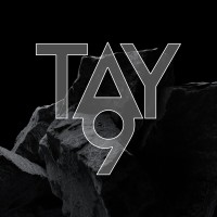 Tay9 Solutions logo - Similar company to Talkin' Tacos