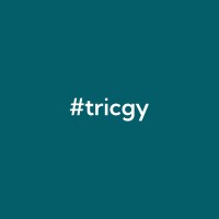 Tricgy logo - Similar company to Planbee Interactive