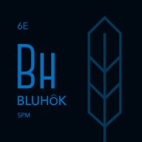 Bluhok logo - Similar company to Resident Realty