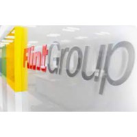 FLINT MEXICANA S DE RL DE CV logo - Similar company to Centro De Desarrollo Integral